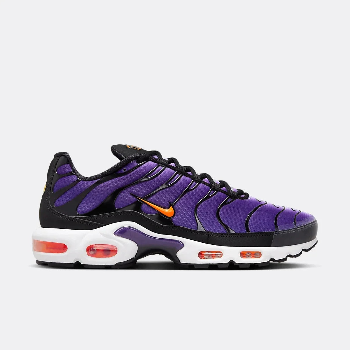 TN plus Purple